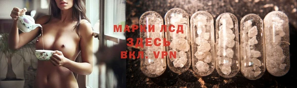 мяу мяу мука Верея