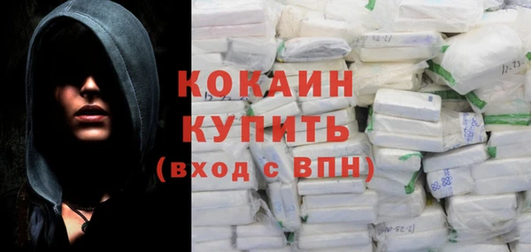 амф Верхний Тагил