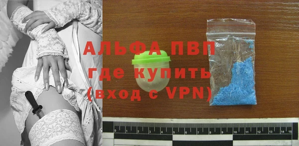 амф Верхний Тагил