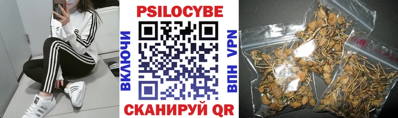 Галлюциногенные грибы Magic Shrooms  blacksprut tor  Видное 